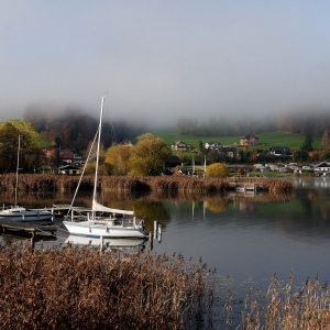 ...und der Nebel lichtet sich am Obertrumer See