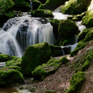 in der Tiefsteinklamm