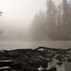 Nebel an der Saalach