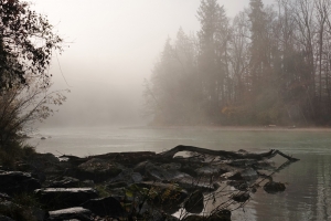 Nebel an der Saalach