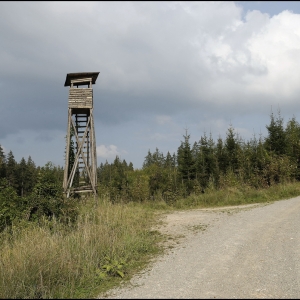 Hochsitz