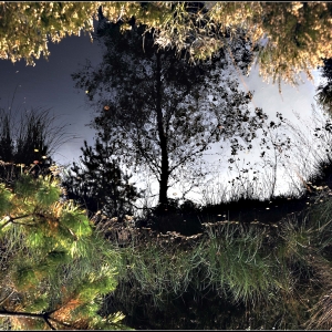 Spiegelung