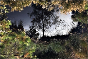 Spiegelung